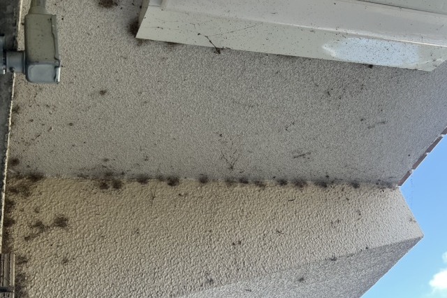 定期美装です!の施工前画像