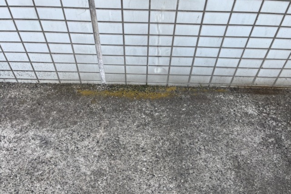 定期美装です!の画像